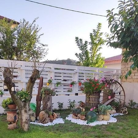 Case Di Bacco Agropoli Eksteriør billede
