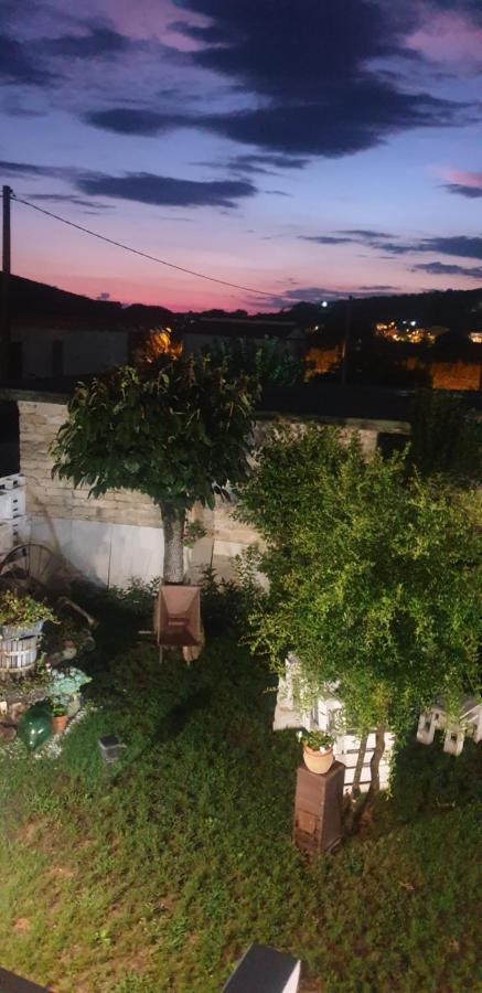 Case Di Bacco Agropoli Eksteriør billede